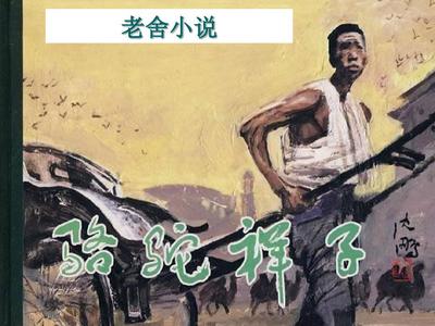 每日大赛在线免费观看